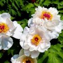 오월부동산중개 이미지