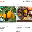 함께하는농산물가공생산농민협동조합 | [지구를 지키는 농부 서포터즈] 함께 친환경농산물 구매해요🧾_이시원서포터즈