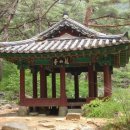 도천농산 네이버블로그