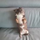 (주)진주랑 이미지