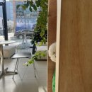 컴바이25 | [천안/신불당]애견동반 카페 컴바이엣♥멍라떼도 함께