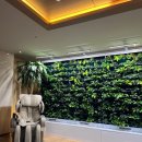 닥터안산후조리원 이미지