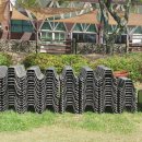 퍼피월드제주 이미지