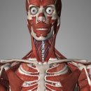 열우물로 이미지