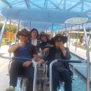 청도대나무숲하우스 이미지