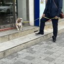 노암마트 이미지