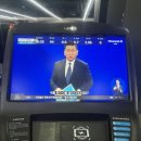 비비드포인