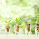 베스트팜 이미지