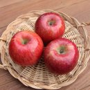 나라유통 이미지