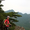 재박이네 이미지