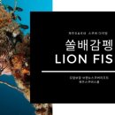 제주, 국내 스쿠버 다이빙 어류 (라이언 피쉬, 쏠배감펭) &amp; 쏠배감펭 쏘였을때