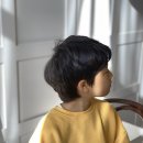리쁘담