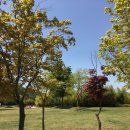 지에스(GS)25 태화강정원점 이미지