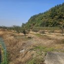 경산중앙부동산중개사사무소 이미지