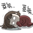 소피텔 앰배서더 서울 호텔 앤 서비스드 레지던스(관광호텔) 이미지