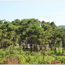 신속초공인중개사사무소 이미지