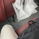 세븐일레븐 강화으뜸점 | [인천 / 강화도 여행] 루지 / 포도나무 펜션 추천 후기