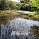 간척1리 이미지