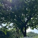 덕현목장 이미지