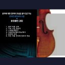 에스엠바이올린