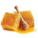 쌀강아지 이미지