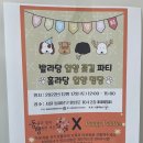 퍼피펍피 이미지