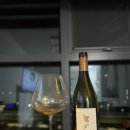 오미나 | [25] Omina Romana Ars Magna chardonnay / 오미나 로마나 아르스 마그나 샤도네이