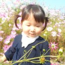 곤명생태학습장 이미지