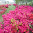 오월농장 이미지