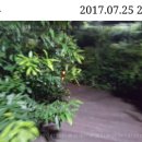 대주문구 이미지