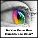 색상 기본 사항 : 색상 작업시 알아야 할 8 가지 사항 이미지