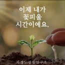슬로우캠프 이미지