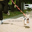 팅커벨