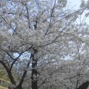 한마음  행정사사무소 이미지