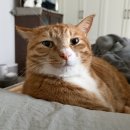 학마을서해아파트 앞 | [058]학마을서해아파트 목공사 (+ 부엌 베란다 확장 단열 및 가벽)