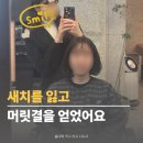세기미용실 - 진도군 남동1길 17 | 목동미용실 새치염색 후기, 오목교미용실 웨일드헤어에서 인생컬러 찾았어요