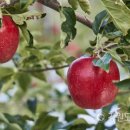 해안면힐링하우스 이미지