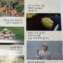 천수만전통생강한과 이미지