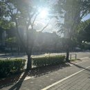 롯데하이마트 잠실점 | 서울 샥즈 체험은 잠실 롯데하이마트에서 청음 러너필수탬