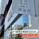 살롱드 헤일리