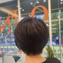 아베체 | 의정부에서 머릿결 살리는 마법? ✨ 아베체의 섬세한 케어 후기