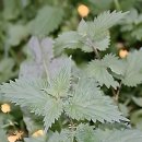 이건업한의원 | 찌뿌둥한 몸에 SOS! 강북안정한의원 원픽하게 된 썰 푼다