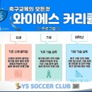 와이에스아이 이미지