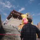 두선ANT