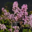 딱좋은밤 이미지