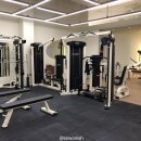 나비드짐 이미지