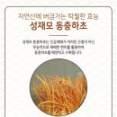 베프 바이오 네이버블로그