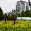 한강시민공원 이미지