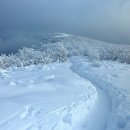 명산목장2 이미지