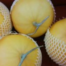 한정농장 이미지